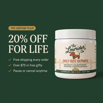 Product Title: Daily Disc Defense™ Soft Chews — Formulated for CDDY/CDPA Breeds
