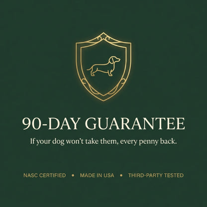 Product Title: Daily Disc Defense™ Soft Chews — Formulated for CDDY/CDPA Breeds