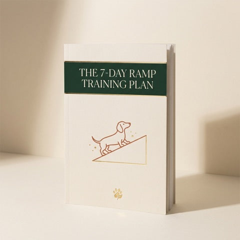 The 7-Day Ramp Training Plan